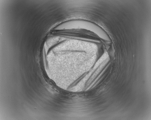 X0000068830434200606021647