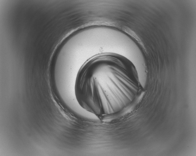 X0000068830436200606021647