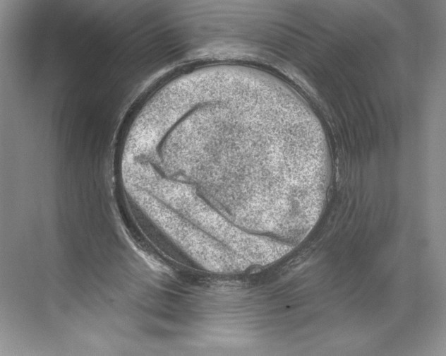 X0000068830438200606021647