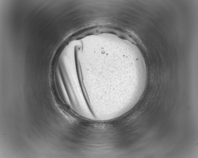 X0000068830439200606021647