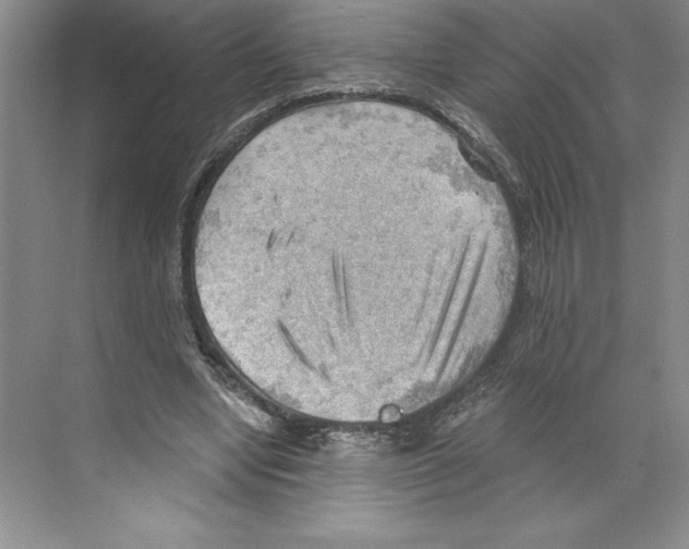 X0000068830442200606021647