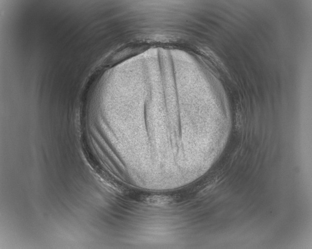 X0000068830444200606021647