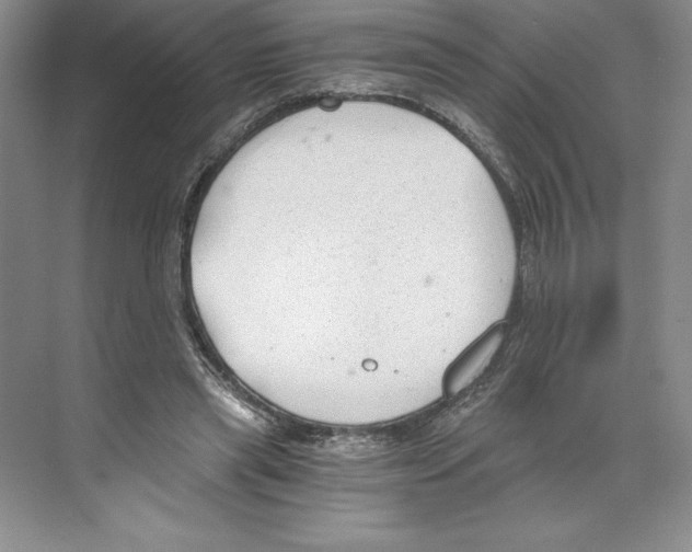 X0000068830445200606021647