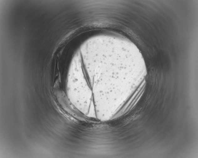 X0000068830446200606021647