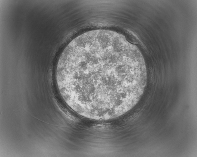 X0000068830447200606021647