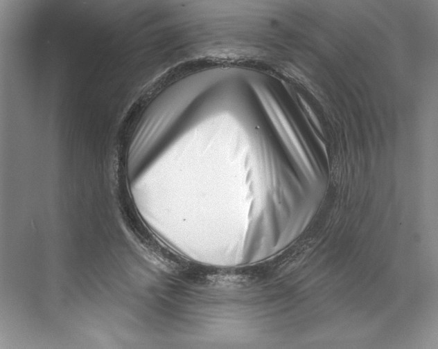 X0000068830448200606021647