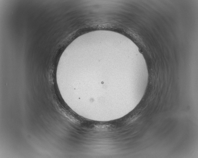 X0000068830450200606021647