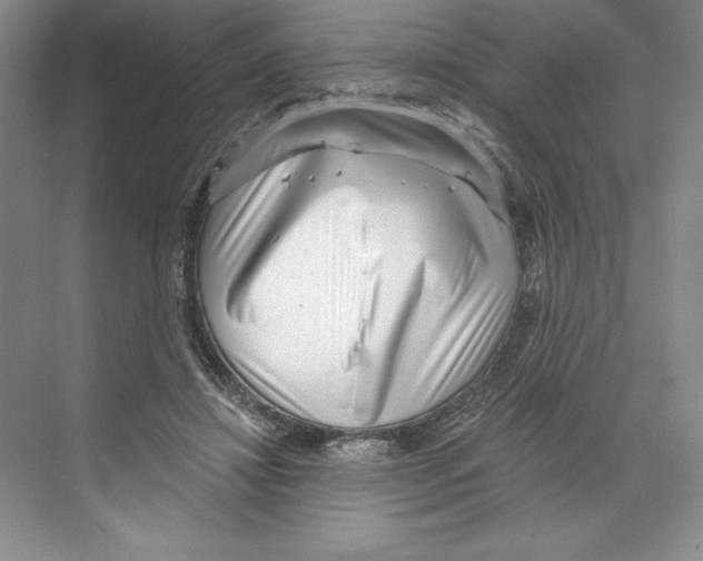 X0000068830452200606021647