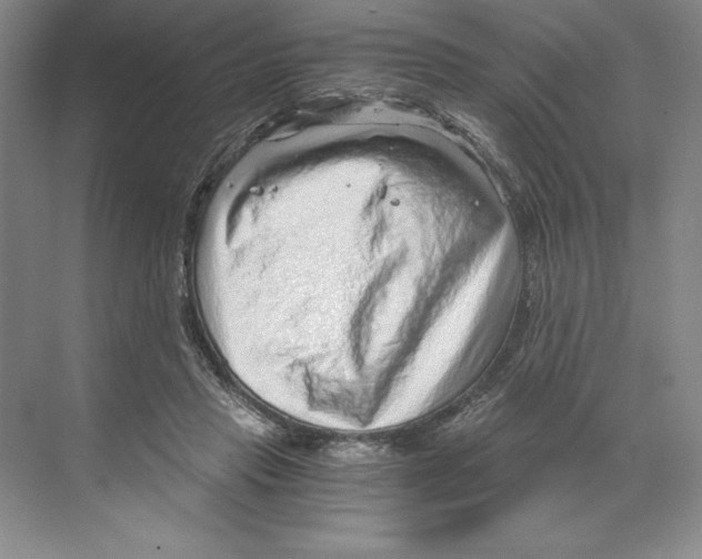 X0000068830453200606021647