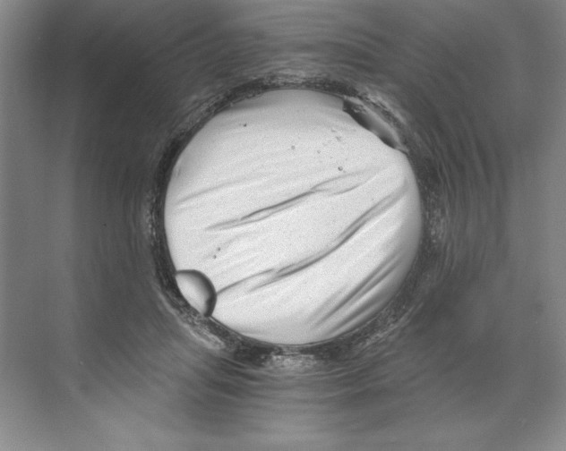 X0000068830455200606021647