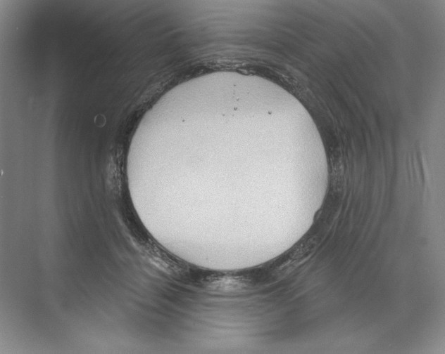 X0000068830460200606021647