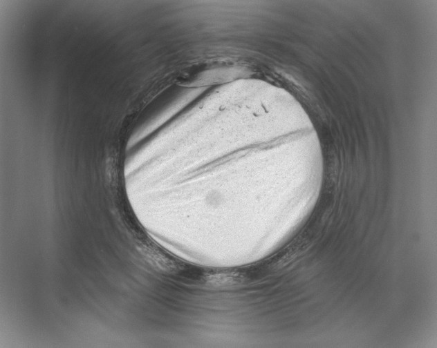 X0000068830461200606021647