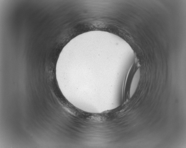 X0000068830464200606021647