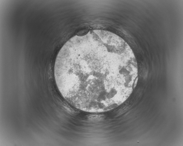 X0000068830465200606021647