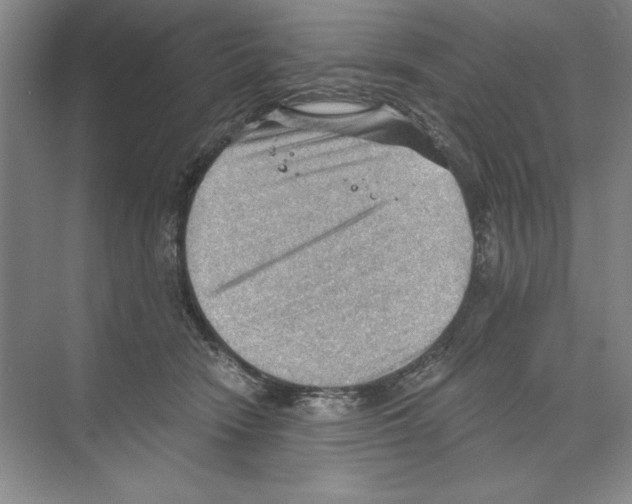 X0000068830466200606021647