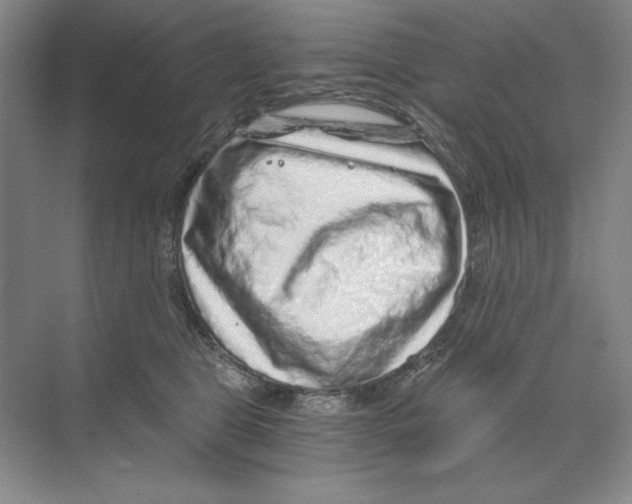 X0000068830469200606021647