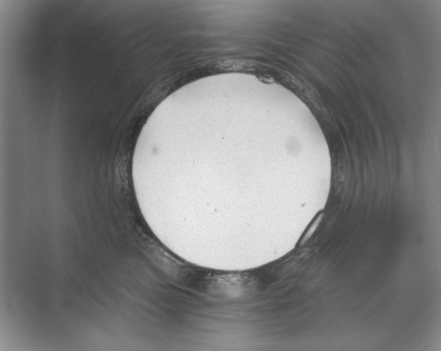 X0000068830473200606021647