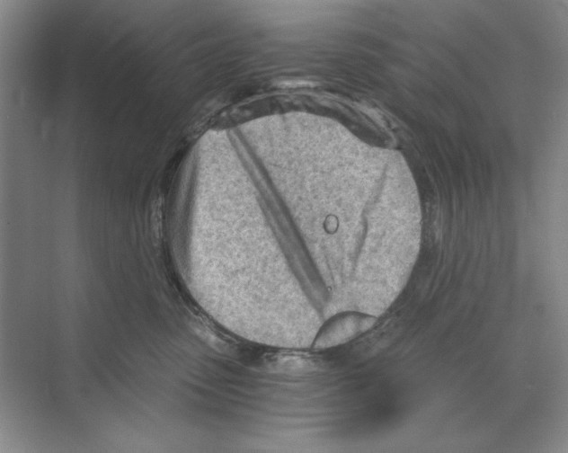 X0000068830475200606021647