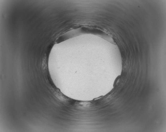 X0000068830478200606021647