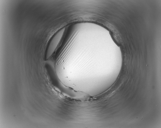 X0000068830481200606021647