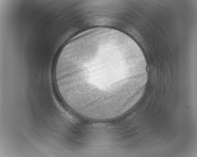 X0000068830482200606021647