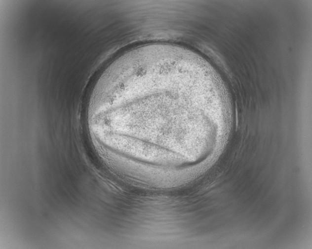 X0000068830483200606021647