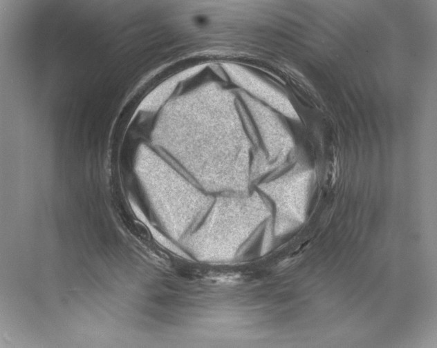 X0000068830484200606021647