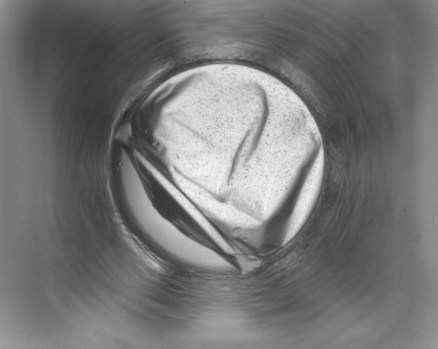 X0000068830486200606021647