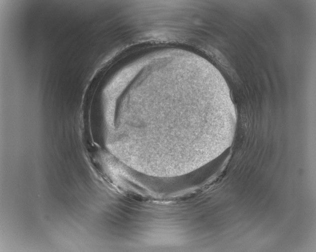 X0000068830488200606021647