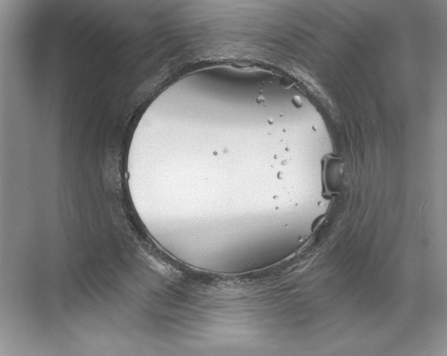 X0000068830489200606021646