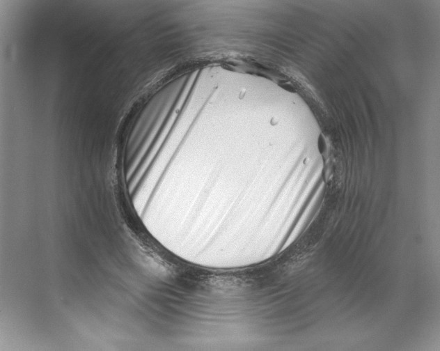 X0000068830490200606021646