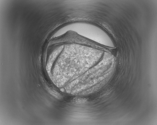 X0000068830491200606021646