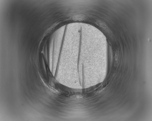 X0000068830492200606021646