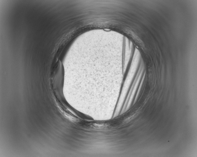 X0000068830493200606021646