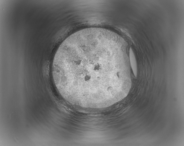 X0000068830495200606021646