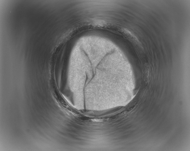 X0000068830496200606021646