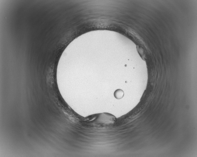 X0000068830497200606021646