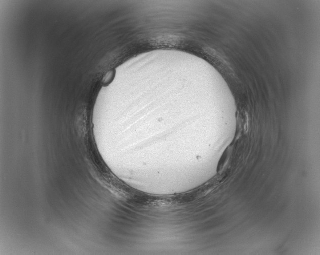 X0000068830498200606021646