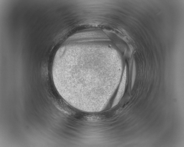 X0000068830500200606021646