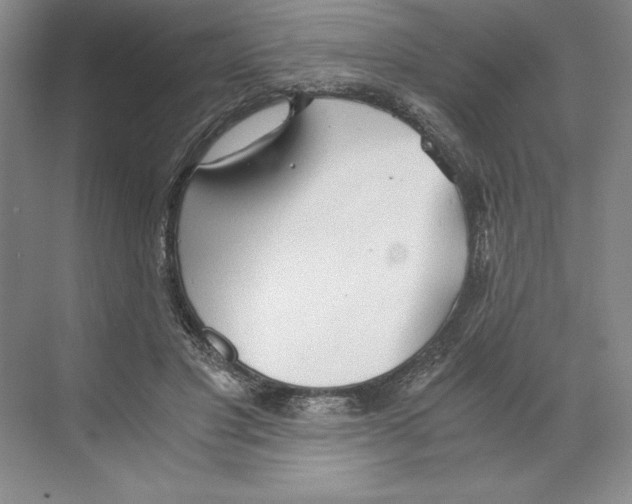 X0000068830501200606021646