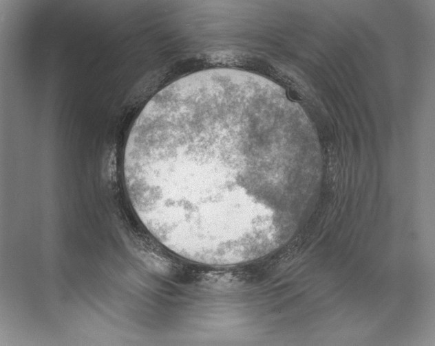 X0000068830502200606021646