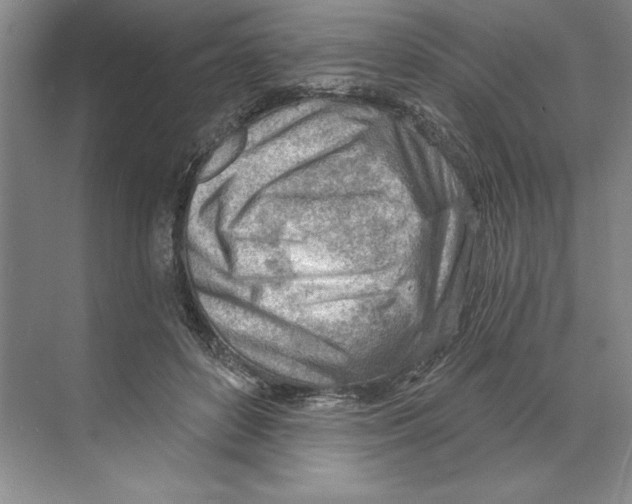 X0000068830504200606021646