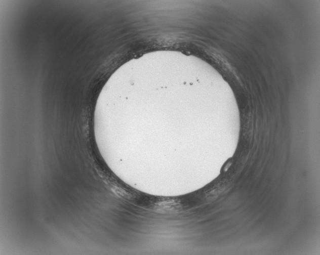 X0000068830505200606021646