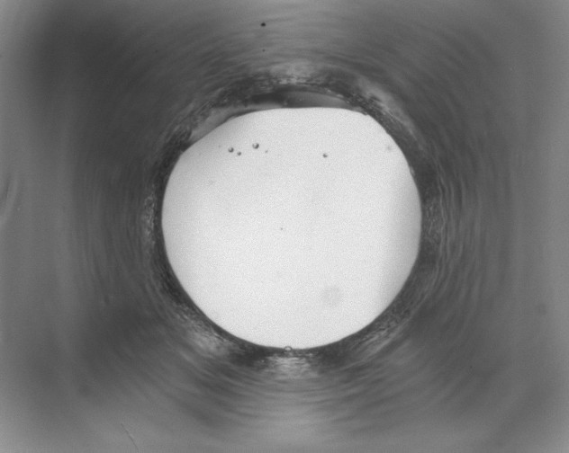 X0000068830509200606021646