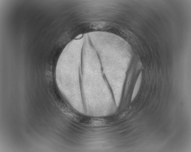 X0000068830510200606021646