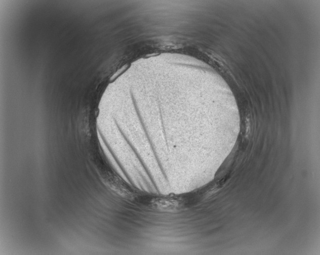 X0000068830512200606021646