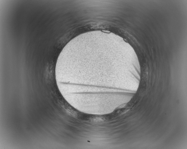 X0000068830513200606021646