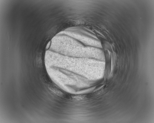 X0000068830516200606021646