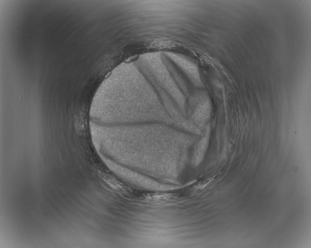 X0000068830517200606021646