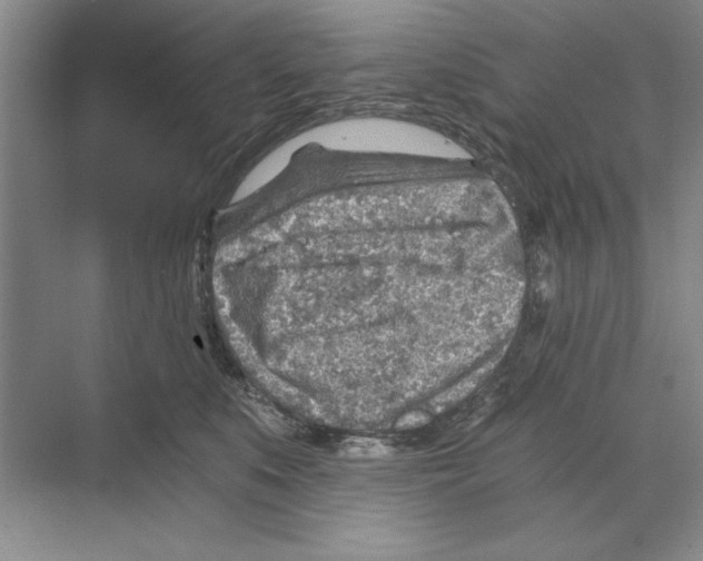 X0000068830519200606021646